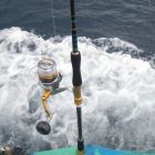 シイラＲＯＤ（現場にて）